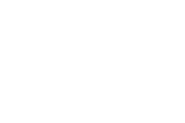 GRAVITYPANDA X DENDEX