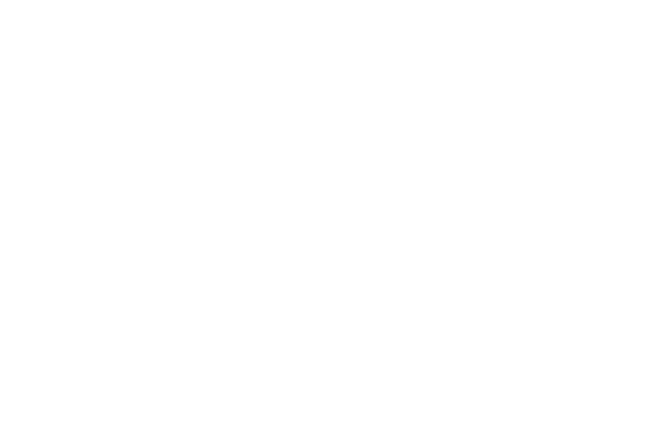 GRAVITYPANDA X perfectees