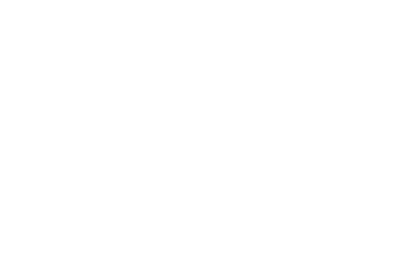 GRAVITYPANDA X VIRTOO